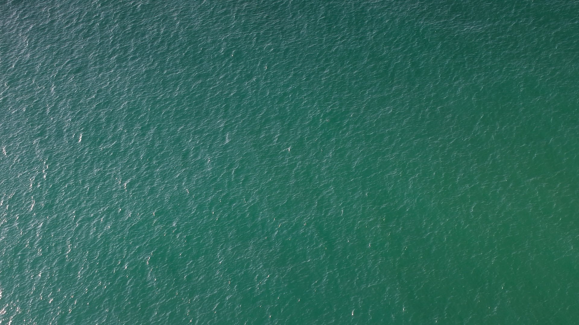 Vessel-Report-Analysis Vessel-Report-Analysis