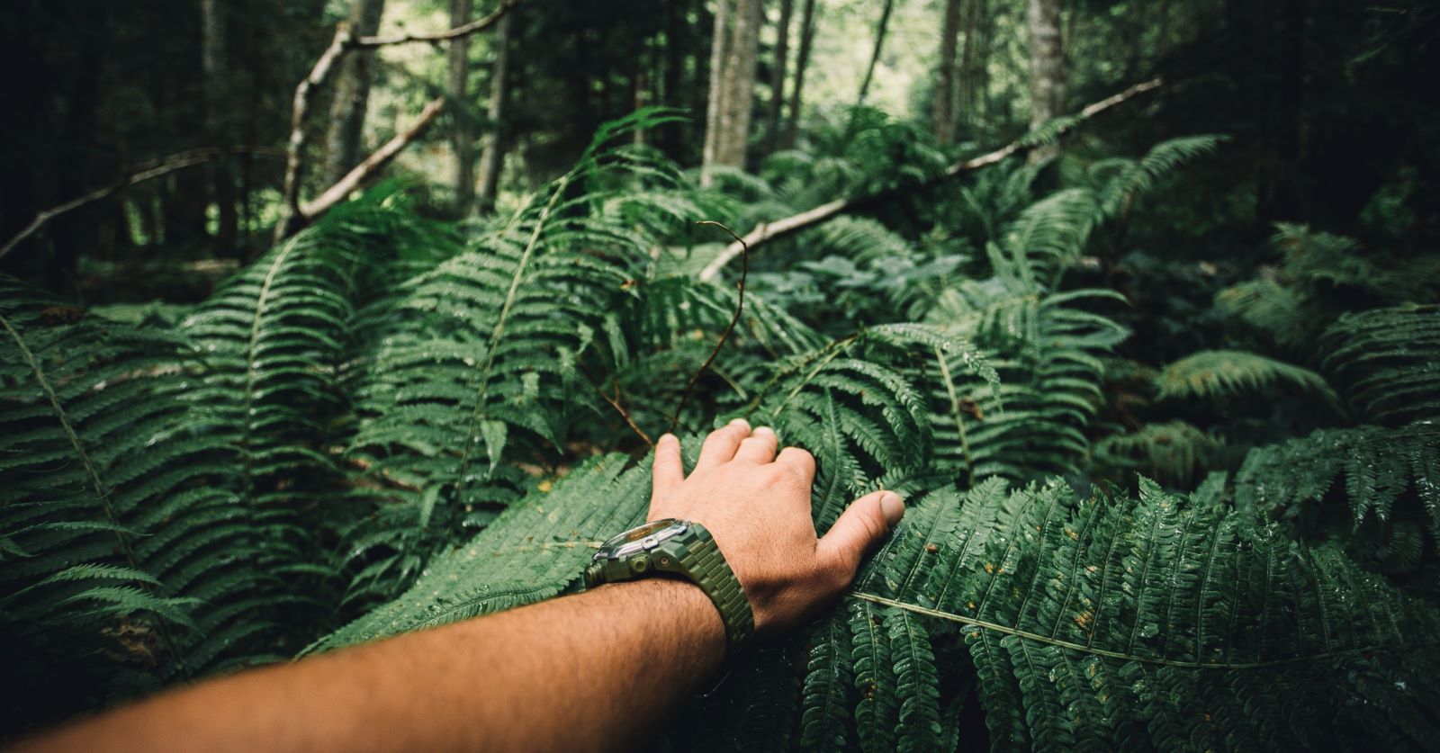 AdobeStock_199655040